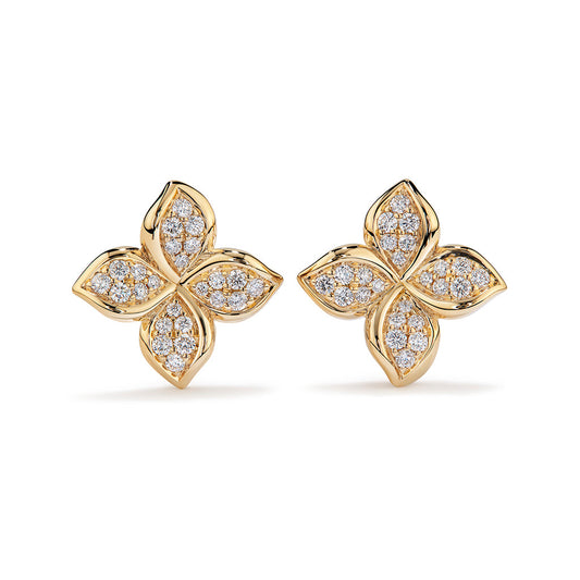 D Flawless Diamond Earrings set in 18K Yellow Gold